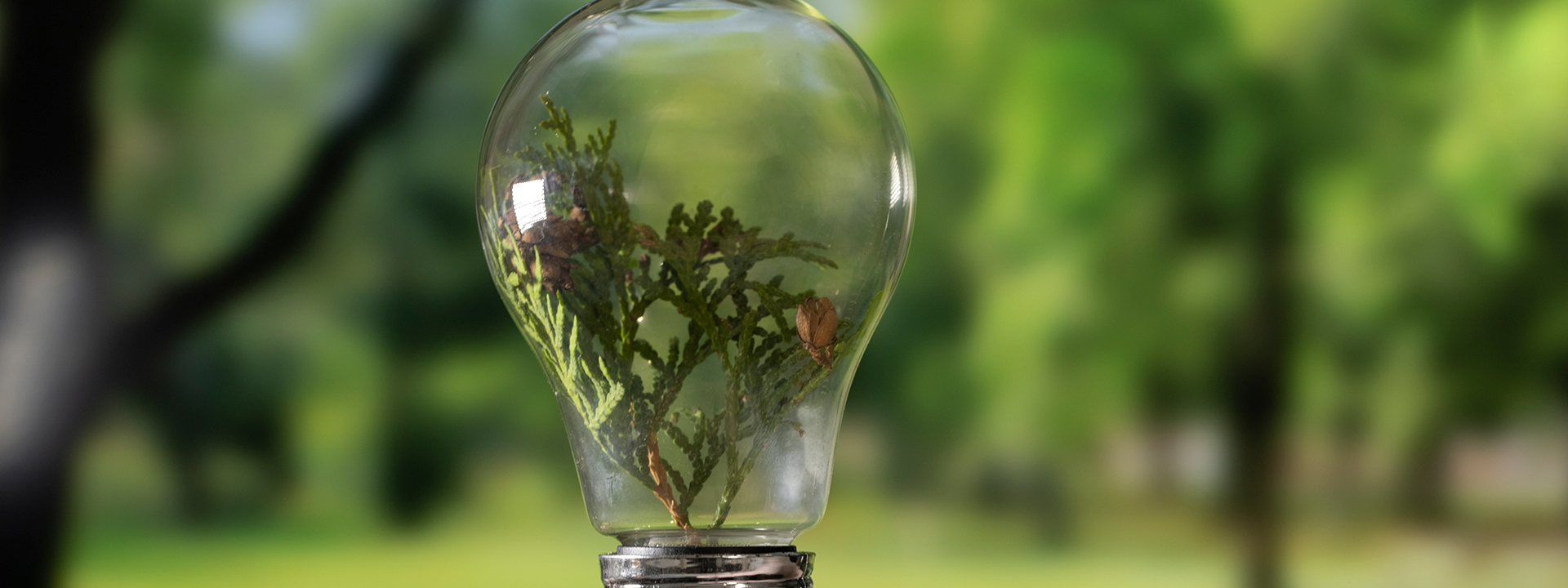 conseguir eficiencia energetica